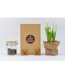 Vietbeans Coffee Gift Set - Try 4 Exciting Whole Bean Varieties | Perfect Gift for Coffee Lovers - 320g - Buy Online on SooperMarket.com