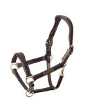 Shires Rapida Cushioned Leather Heacollar - Black & Havana Havana Cob - Buy Online on SooperMarket.com