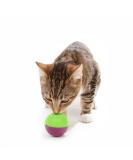 OurPets Play-N-Treat Twin Pack Cat Toy - Interactive and Entertaining Toy for Cats - Buy Online on SooperMarket.com