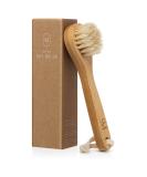 CSM Mini Dry Brush - Natural Bristle Small Body Brush  Exfoliating Facial Cleansing Brush for Soft Skin and Other Sensitive Areas Like Your Neck  Chest  and Nails - Buy Online on SooperMarket.com