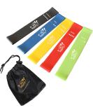 Fit Simplify Resistance Loop Exercise Bands for Home Fitness - Pack of 5 - Buy Online on SooperMarket.com
