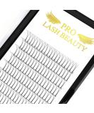 Pre Made Fan Eyelash Extensions 3D-D-0.10-8-15mix Long Stem Pre Fanned Russian Volume Lashes 0.07 0.10 Premade Fans Eyelash Extension C D curl Lash Extension 3D-D-0.10-8-15mix 8-15 mix 3D-D-0.10-CG - Buy Online on SooperMarket.com