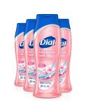 Dial Skin Therapy Body Wash Himalayan Salt 21 fl oz - Pack of 4 | 4 Count - Best for Refreshing Skin - Buy Online on SooperMarket.com