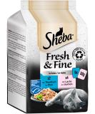 Sheba Fresh & Fine in Jelly - High-quality wet cat food - Tuna and Salmon (MSC) - 36 x 50g - Buy Online on SooperMarket.com