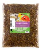 UGF Soldier Fly Larvae (500g) - Superior to Dried Mealworms - 85x Calcium - Ideal Treats for Birds Turtles Rodents & More - Buy Online on SooperMarket.com