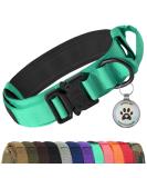 Joytale Tactical Dog Collar | Durable Dog Collar with Handle for Large Dogs | XL Turquoise with QR Code Dog Tag - International Shipping Available - Buy Online on SooperMarket.com