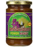 Y.S. Eco Bee Farms Antioxidant Power Honey - 13.5 oz (383 g) - Natural Health Boost - Buy Online on SooperMarket.com