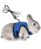 Adjustable Soft Rabbit Dishes & Elastic Leash for Small Pets - Kitty & Bunny Walking Set (Blue XS - 20-27.5cm) - Buy Online on SooperMarket.com
