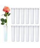 Beadnova 2.8 Flower Water Tubes - 60 Clear Plastic Floral Vials for Flower Arrangement and Decoration - Buy Online on SooperMarket.com