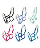 RL24 Halter with Plush Padding - BASICLINE in 6 Colors for Shetty Pony Thoroughbred Warmblood | Turquoise Shetty - Buy Online on SooperMarket.com