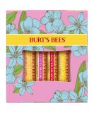 Burt's Bees Lip Balm Gift Set Beeswax Strawberry Tropical Pineapple Dragonfruit Lemon In Full Bloom 4x4.25g - Buy Online on SooperMarket.com