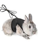 Adjustable Soft Rabbit Dishes & Elastic Leash for Small Animals | XL Black Pet Dishes & Walking Leash for Bunnies & Cats - Buy Online on SooperMarket.com