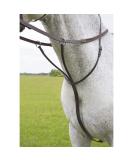 Shires Blenheim Running Martingale Black Pony - Buy Online on SooperMarket.com