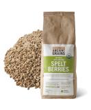 Organic Spelt Berries - 5 lbs 5 Pound (Pack of 1) - Buy Online on SooperMarket.com