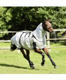 Busse Eczema Blanket - Strong Anthracite 105 cm | International Shipping Available - Buy Online on SooperMarket.com