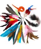 onebarleycorn Cat Toys Feather Refills for Cat Wand Toys Interactive include Replacement Feathers 1 Count (Pack of 1) - Buy Online on SooperMarket.com
