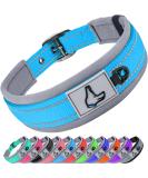 Joytale Baby Blue Dog Collar - Softly Padded Neoprene Nylon Reflective Collar for Small Dogs | 1 Pack - Buy Online on SooperMarket.com