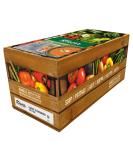 Knorr 100% Carrot & Coriander Soup 10kg - Pack of 4 - Buy Online on SooperMarket.com