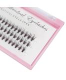 20 Root Soft 60pcs 0.07 C Curl 6D Wave Silk Eyelash Extensions - Handmade Mink Black Tools - 8mm - Buy Online on SooperMarket.com