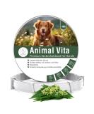 Animal Vita Premium Teck neck band for dogs - reliable protection against ticks waterproof and size adjustable Up to 8 months of tick protection for dogs - Buy Online on SooperMarket.com