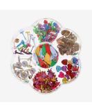 EXCEART Mini Brads: Small Round Metal Paper Fasteners - Pastel Colors for Scrapbooking, Crafting, DIY - 6-12mm - 1 Box - Buy Online on SooperMarket.com