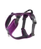 DOG Copenhagen Dog Harness V2 Comfort Walk Pro - Purple Passion XL | Premium Comfortable Dog Harness for Large Breeds - Buy Online on SooperMarket.com