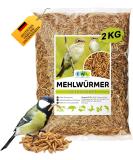 EWL natural products mealworms dried 2kg corresponds to 13ltr.Insect snack for birds fish turtles rodents and reptiles mealworms 13 l (1 Pack) - Buy Online on SooperMarket.com