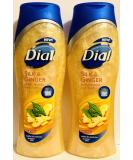 Dial Moisturizing Body Wash - Silk & Ginger - Net Wt. 16 FL OZ (473 mL) Per Bottle - Pack of 2 Bottles Ginger 16 Fl Oz (Pack of 2) - Buy Online on SooperMarket.com