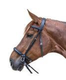 WALDHAUSEN Star Bridle Bitless - Black | Premium Tack for Thoroughbreds | International Shipping Available - Buy Online on SooperMarket.com