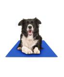 Chillz Dog Cooling Mat - Pressure Activated Gel Pad for Dogs & Cats - Non-Toxic, No Water Needed - Ideal for Home, Travel, Crates - Large Blue - Buy Online on SooperMarket.com