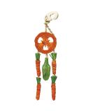 Rosewood Carrot Dream Catcher for Small Animals - Boredom Breaker, Chew Toy - Buy Online on SooperMarket.com