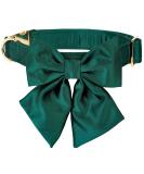 Lionet Paws Dog Collar - Comfortable Silk with Removable Fly for Large Dogs (Neck 40-60cm) - Green 1 Pack - Buy Online on SooperMarket.com