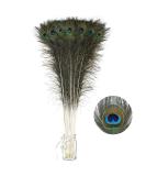 Soarer Long Peacock Feathers Bulk - 25pcs 32-35 inches for Vase, Holiday Decoration & DIY Crafts - Buy Online on SooperMarket.com