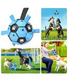 X Xben dog toys ball 20cm permanent dog toys for small medium -sized dogs interactive dog football with rope and inflation device dog ball for outdoor indoor lawn swimming 20cm blue - Buy Online on SooperMarket.com