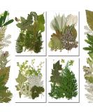 TimTin 84 Pieces Dried Pressed Leaves Dried Flowers Resin Dried Leaves Resin Mini Dried Flowers Crafts Dried Greenery Assorted Dried Leaves Art DIY Handmade Bookmarks 4 Bags (Vivid Style) - Buy Online on SooperMarket.com
