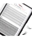 Glowing Win Individual False Eyelashes - Cluster Lashes 228 PCs DIY Extensions (0.07C 10D+20D Mix 8-14mm) | Premium Artificial Eyelash Extensions - Buy Online on SooperMarket.com