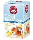 Teekanne Peach & Passion Fruit Cold Brew Tea Infusion Ice Cool Sensations All Natural Real Fruit with Apple Rosehip Hibiscus 18 Teabags - Buy Online on SooperMarket.com