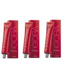 Schwarzkopf Igora Royal 6-00 Dark Blonde Hair Dye Set - 3 x 60ml - Buy Online on SooperMarket.com