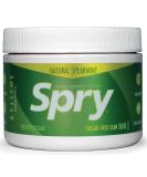 Spry Xylitol Gum Spearmint 100 Pieces Spearmint 100 Count (Pack of 1) - Buy Online on SooperMarket.com
