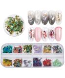 NICENEEDED 12 Colors Abalone Seashell Nail Art Flakes - Style 2 - Buy Online on SooperMarket.com