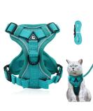 Adjustable cat dishes breakout cat dishes with a line set software for cat breasts for cats kitten dogs puppies (blue lake -s) s Blauer See - Buy Online on SooperMarket.com