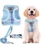 PUPTECK Dog Harness Small Dog with Collar and Lead Set Step-in No Pull Puppy Cat Harnesses for Daily Walking Blue M M: Chest girth: 40.6-45.7cm Collar: 30-40cm Blue - Buy Online on SooperMarket.com