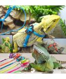 Generic Adjustable Reptile Lizard Harness Leash Adjustable Multicolor Light Soft Fashion (Green) - Buy Online on SooperMarket.com