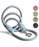 High-Quality 1.7m No Tangle Dog Training Leash - Aqua Braided Rope with Hand Loop - Buy Online on SooperMarket.com