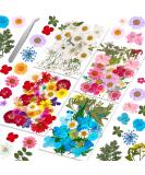 Evatage 153Pcs Dried Pressed Flowers for Resin  Real Pressed Flowers with Tweezers  Multiple Colorful Resin Dry Flowers Bulk for Craft  Resin Mold  Jewelry Making  Candle and Nails Decoration - Buy Online on SooperMarket.com