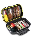 Fly Fishing Flies Assortment Kit 30/50/60/100/168pcs Dry Wet Nyphms Tenkara Popper Streamer Woolly Bugger for Trout Bass Steelhead with Fly Box 100PCS Fishing Flies Kit - Buy Online on SooperMarket.com