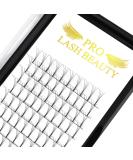 Pre Made Fan Eyelash Extensions 4D-C-0.10-8-15mix Long Stem Pre Fanned Russian Volume Lashes 0.07 0.10 Premade Fans Eyelash Extension C D curl Lash Extension 4D-C-0.10-8-15mix 8-15 mix 4D-C-0.10-CG - Buy Online on SooperMarket.com