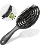 Marqus hairbrush with wild boar bristles - DESTRIATHER FOR THE HAIR Type with even more bristles - hairbrush without ziepen black -shine - Buy Online on SooperMarket.com
