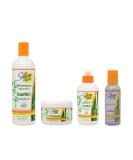 Buy Silicon Mix Bambu Shampoo & Treatment Set - 16oz 8oz 4oz - Best for Hair Care | International Shipping - Buy Online on SooperMarket.com