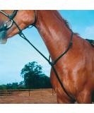 Shires Equestrian - Blenheim Standing Martingale - Havana - Size: Cob - Buy Online on SooperMarket.com